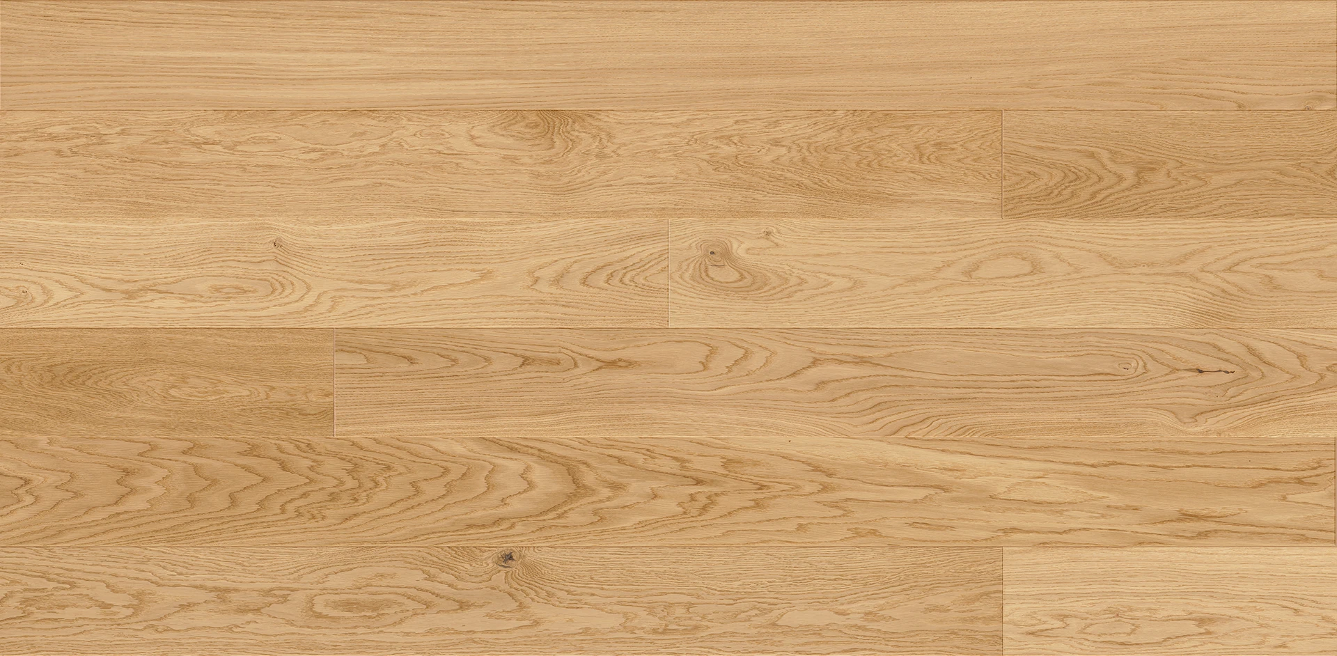 Rovere Askania Grande