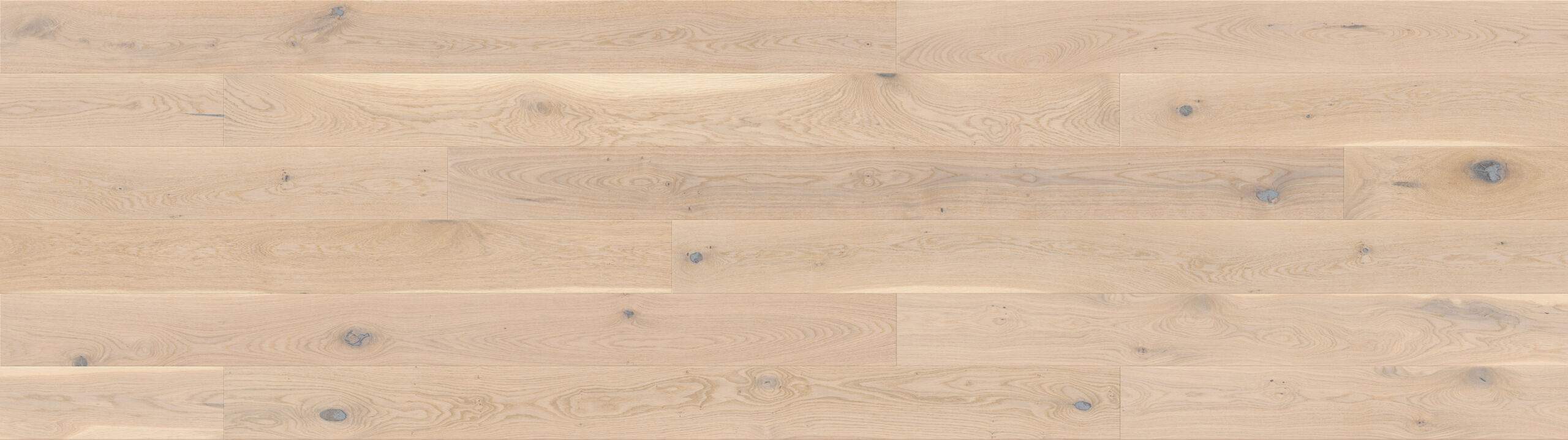 Rovere Biscuits Grande