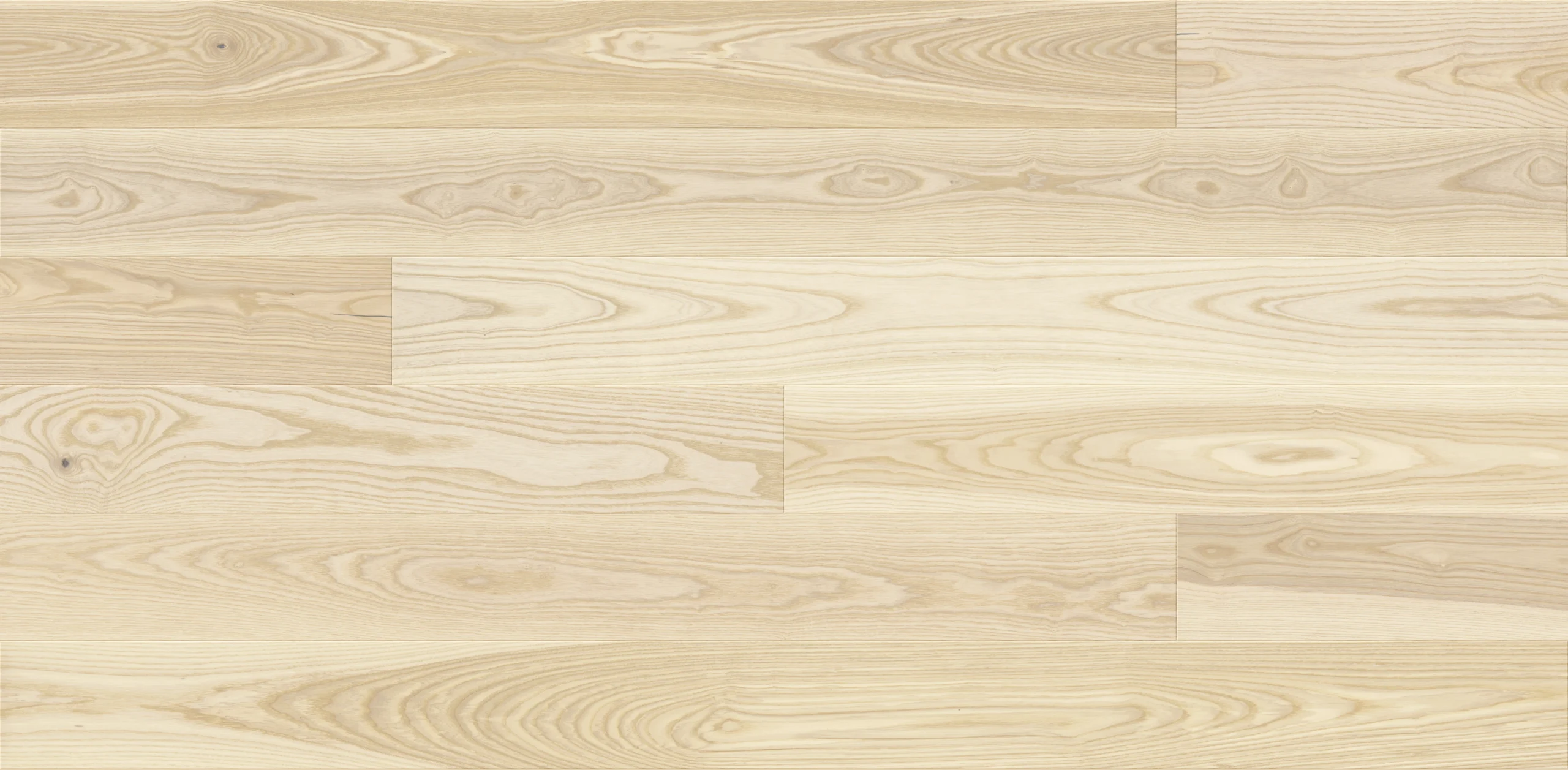 Frassino Milkshake Grande