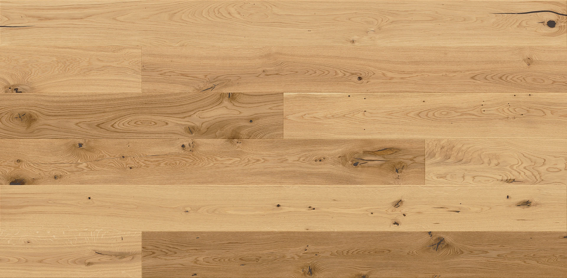 Rovere Raisins Medio