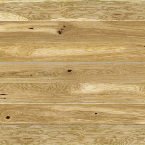 Rovere Conchi Piccolo