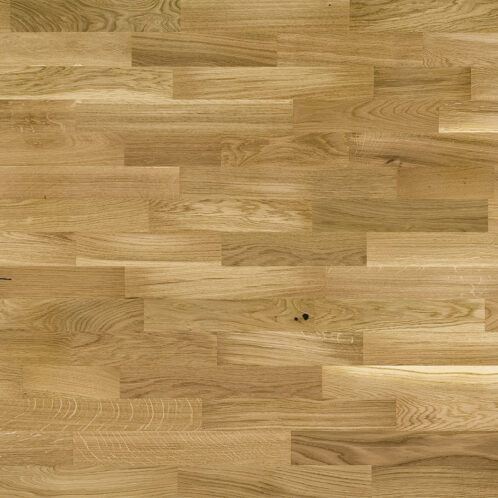 Rovere Askania Molti